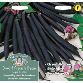 Dwarf French Bean Purple Queen Seeds